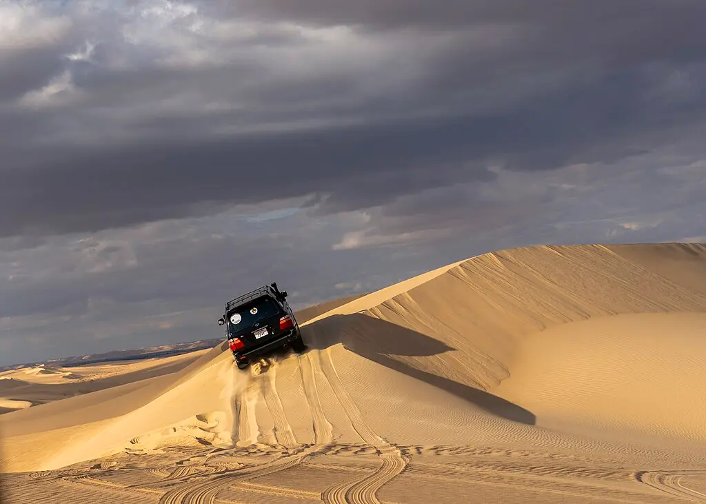 المرشدون في واحة سيوة