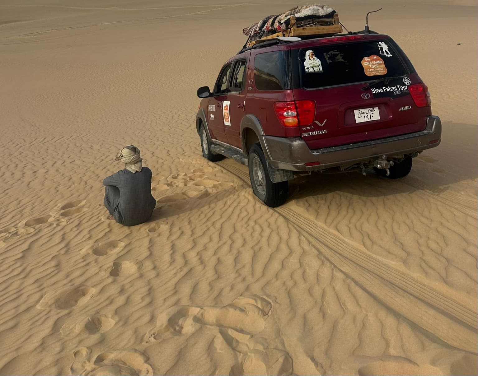 سيوة فهمي تورز