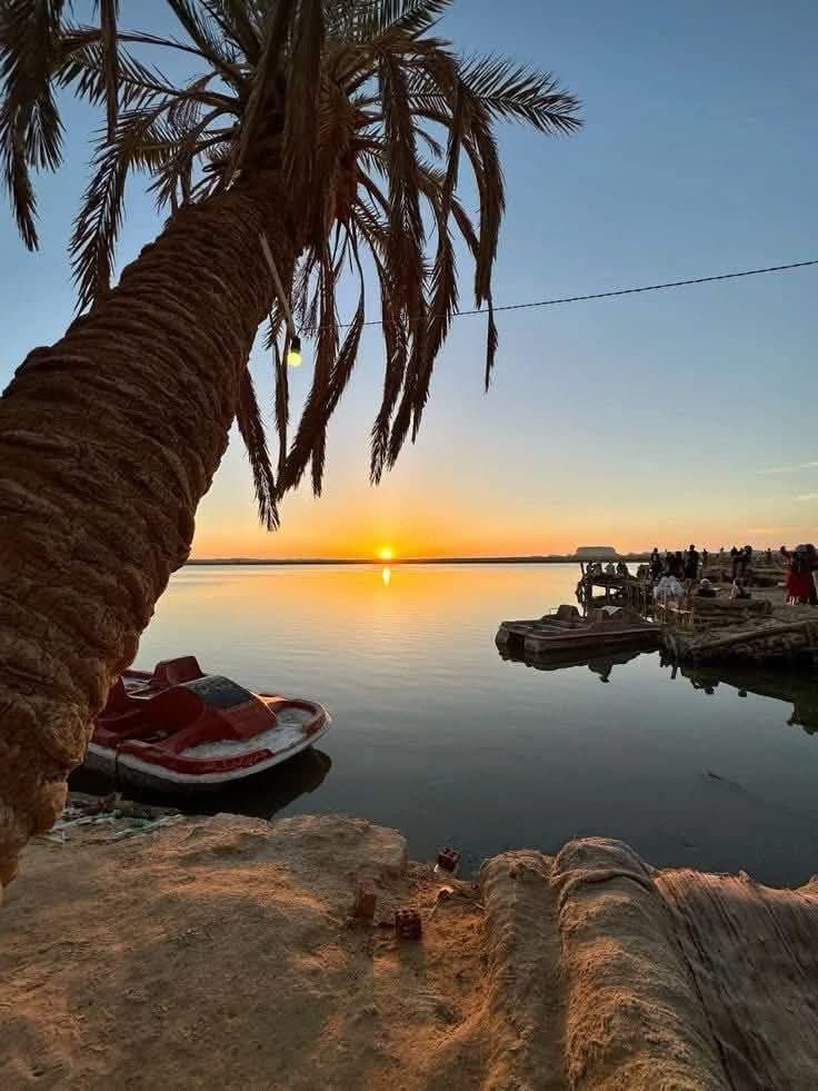 المناخ