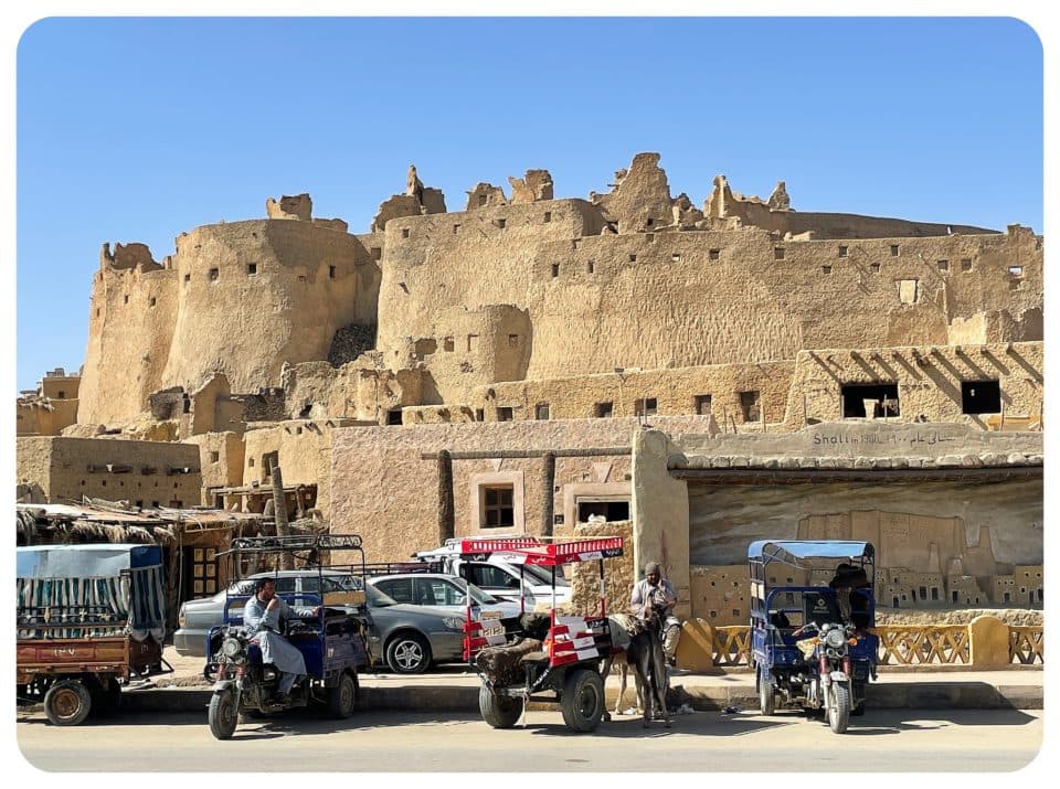 العادات والتقاليد